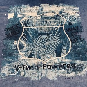 NWT Harley Davidson Short Sleeve Road Grunge Tee Men 2XL